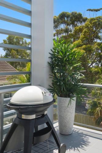 a grill on a balcony with a potted plant at Addison's Escape - A Breezy Beachfront Beauty in Shellharbour