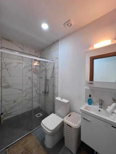 a bathroom with a shower and a toilet and a sink at OTEMANU LODGE in Bora Bora