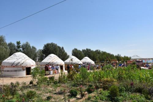 Foto dalla galleria di KARAKALPAK ETNO VILLAGE a Nukus
