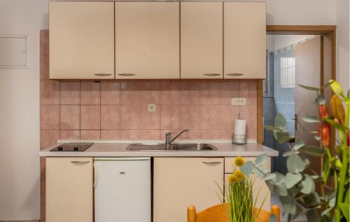 Η κουζίνα ή μικρή κουζίνα στο Awesome Apartment In Baska With Kitchen