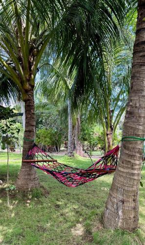 a hammock between two palm trees in a park at 108 Palms Beach Resort in Trincomalee