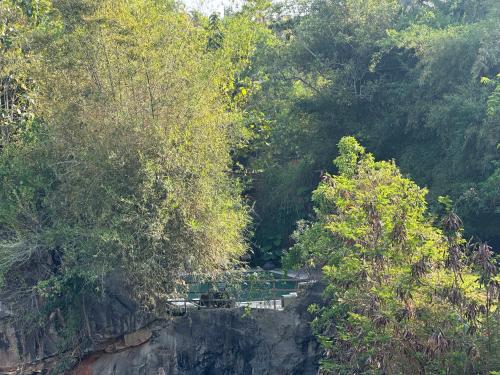 a group of trees on a hill next to a river at AMARA AYURVEDA RETREAT- Overlooking Evergreen Western Ghats an ecologically sustainable living space in Kovalam in Kovalam