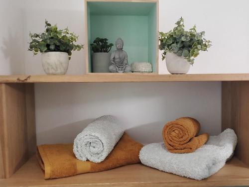 a shelf with towels and plants in a room at "Chez Naty" chambres d'hôtes au Pays-Basque in Chéraute