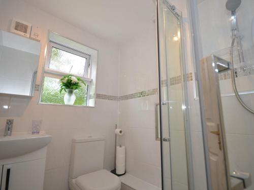 a bathroom with a toilet and a sink and a window at 2 Bed in Bude 53635 in Bude
