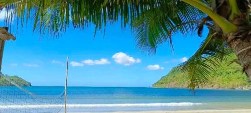 a beach with a palm tree and the ocean at Kubo Inn & Beach Camp in El Nido