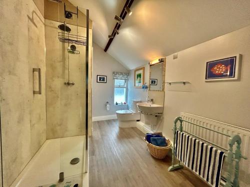 Un baño con ducha, lavabo e inodoro. en 3 Bed in Cardigan 55196, en Saint Dogmaels