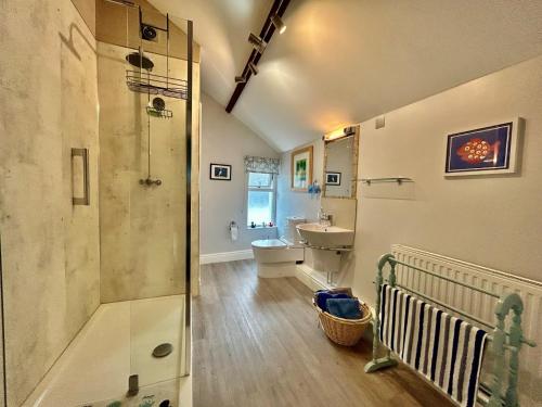 y baño con ducha, lavabo y aseo. en 3 Bed in Cardigan 55196 en Saint Dogmaels