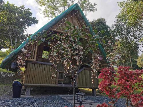 una pequeña casa en el árbol con techo azul en Bamboo Huts, Glamping, and Tent Camping at Humming Farm, en Bagabag