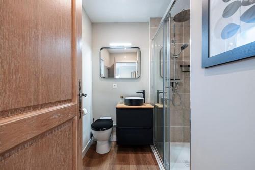 une salle de bain avec toilettes, lavabo et miroir dans l'établissement Cannes Elegant and Chic 2 Bedroom Apt with Pool, à Cannes