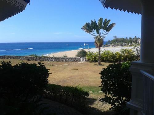a view of a beach with a palm tree and the ocean at Los Balcones in Sosúa