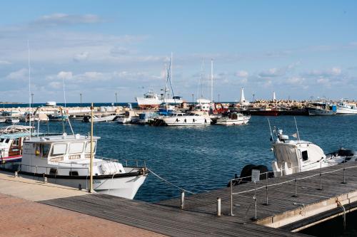 a group of boats docked in a harbor at Zima Blue in Zygi