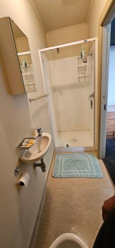 W łazience znajduje się umywalka, prysznic i toaleta. w obiekcie Whitehorse Inn w mieście Palmerston North