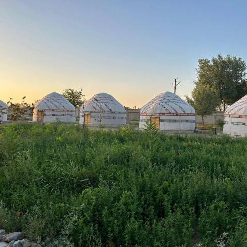 Foto dalla galleria di KARAKALPAK ETNO VILLAGE a Nukus