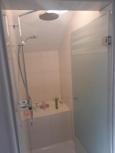 ウムハウゼンにあるHerberge Aulonのバスルーム(シャワー、シンク付)
