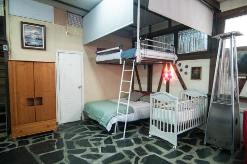 a bedroom with a bunk bed and a ladder at Multiespacio Bu2 in Humanes de Madrid