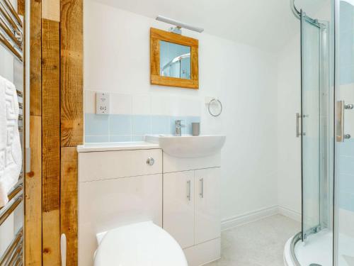 uma casa de banho com um WC, um lavatório e um chuveiro em 2 Bed in Umberleigh 54354 em Atherington