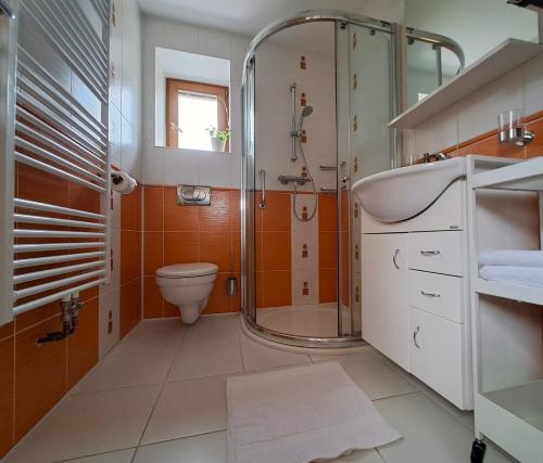 a bathroom with a shower and a toilet and a sink at Domek na vinohradech in Hlohovec