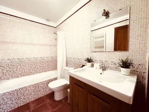 y baño con lavabo, aseo y espejo. en Los Castros Apartamentos Rurales A, en Llames de Pría