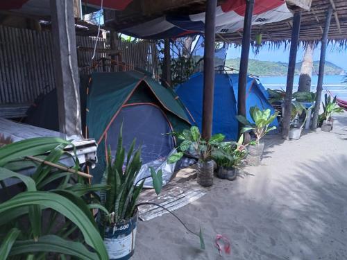 a group of tents on the beach with plants at 8 Star Paradise in Locaroc