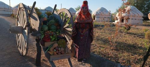 Foto dalla galleria di KARAKALPAK ETNO VILLAGE a Nukus