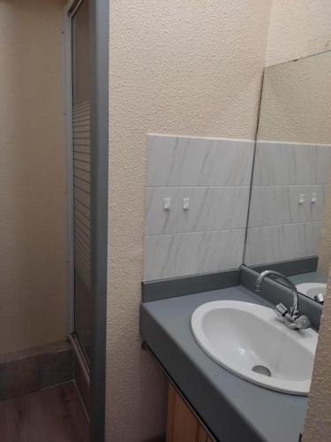 une salle de bain avec un lavabo et un miroir dans l'établissement Appartement chaleureux en cœur de station, à Laruns