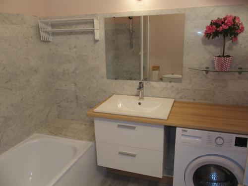 une salle de bain avec un lavabo et une machine à laver dans l'établissement GRAND STUDIO VUE PANORAMIQUE SUR LE PORT, PARKING PRIVE, au Cap d'Agde