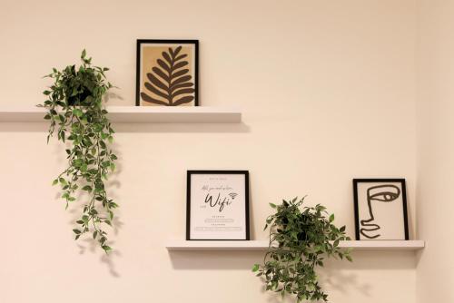 a wall with three shelves with plants at Esti’s Oasis in Ljubljana