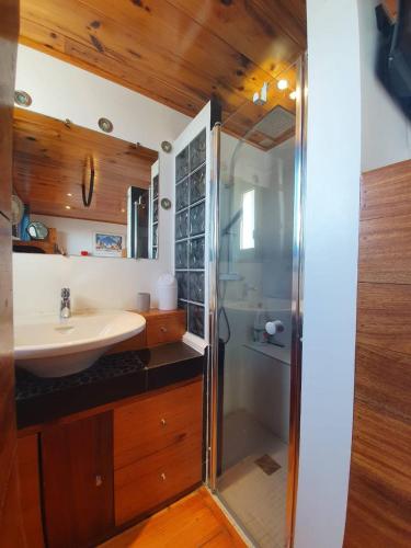 une salle de bain avec une douche, un lavabo et des toilettes dans l'établissement Atlantique - L'océan Atlantique à porter de main, à Soorts-Hossegor