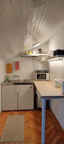 Kuchyň nebo kuchyňský kout v ubytování Apartment Ivan