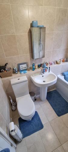 a bathroom with a toilet and a sink and a tub at Comfortable and Convenient in Hatfield