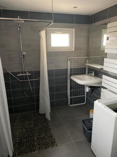 ein Badezimmer mit Dusche und Waschbecken in der Unterkunft chez mémère 3étoiles in Saint-Blimont