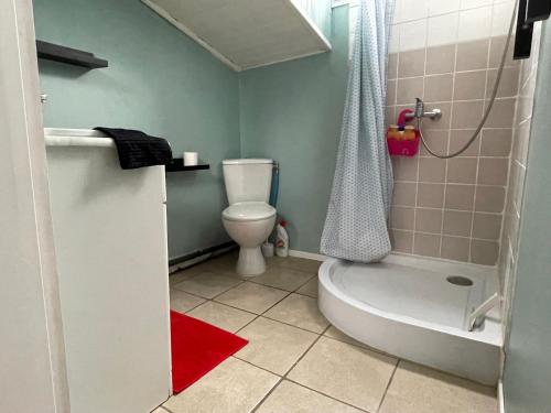 La petite salle de bains est pourvue d'une douche et de toilettes. dans l'établissement Logement familial Etage privatif, à Bordeaux