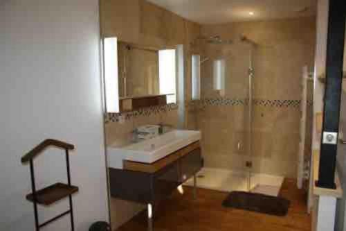 Saint-PompontGîte Le Maine Libre* SPA* Calme et authenticité的带水槽和淋浴的浴室