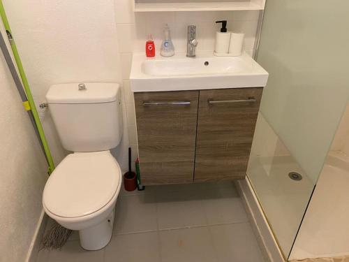 une petite salle de bain avec toilettes et lavabo dans l'établissement Le Saint-Lazare appartement au calme intra muros, à Avignon