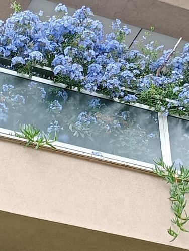 La Casa di Emy – Photos 3