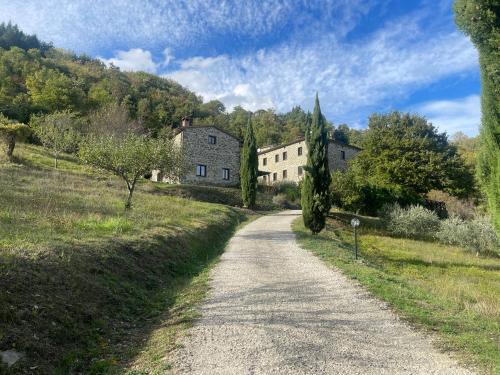 a road leading to a house on a hill at Bio Agriturismo Il Vigno in Caprese Michelangelo
