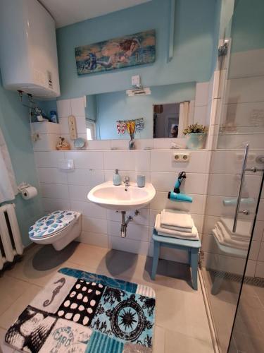 a bathroom with a sink and a toilet at Sonniges Apartment Altenbrak in Altenbrak