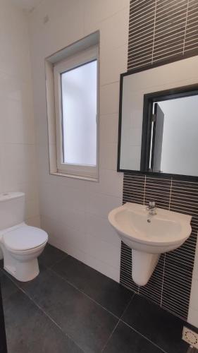 a bathroom with a toilet and a sink and a mirror at Super Located Ground Floor Apartment in St. Julianʼs