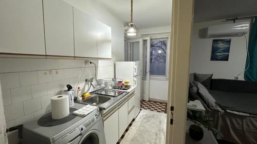 Il comprend une petite cuisine avec un évier et un lave-linge. dans l'établissement Apartman Moon, à Belgrade