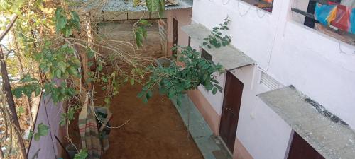 an overhead view of a room with a plant at Shanti palce hostel in Pushkar