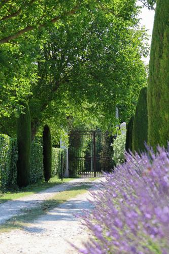 un jardin avec une porte, des arbres et des fleurs violettes dans l'établissement Domaine du Moulin de Villefranche, à Pernes-les-Fontaines
