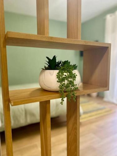 a plant in a pot sitting on a shelf at Tintarella da Monica in Lido di Ostia