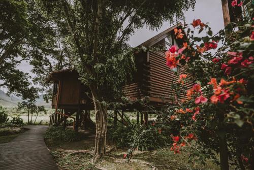 Zahrada ubytování Tsitsikamma Lodge & Spa