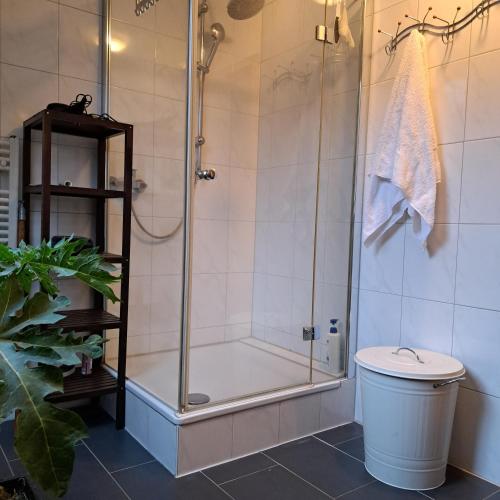 ein Bad mit einer Dusche und einem WC in der Unterkunft Messe Zimmer Hannover in Hannover