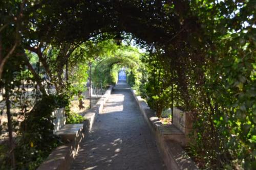 un tunnel d'arbres avec bancs dans un parc dans l'établissement Villa Aura, à Torre del Greco