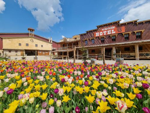 un campo de flores frente a un edificio en Ranch 13 - Western a kone en Nemšová