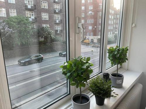 ヨーテボリにあるLuxury Apartment In City Centreの窓枠に鉢植えの植物が三本並ぶ窓