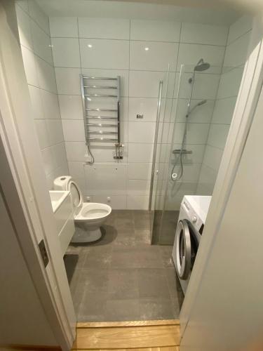 ein Bad mit einer Dusche, einem WC und einem Waschbecken in der Unterkunft Luxurious Flat With A Private Rooftop Terrace in Göteborg