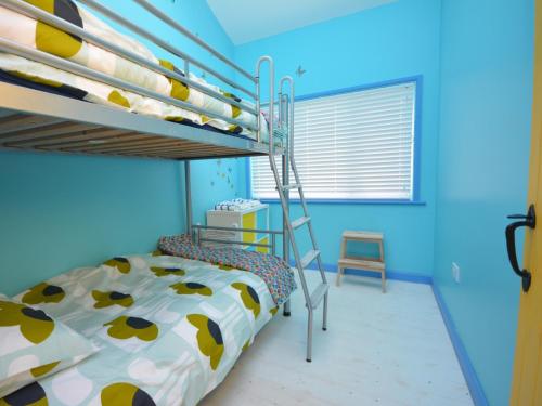 a bedroom with a bunk bed and a ladder at 2 bed in Llansteffan 74268 in Ferryside