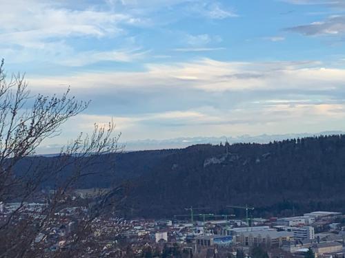a view of a city with mountains in the background at Hotel Restaurant Schwane in Meßstetten